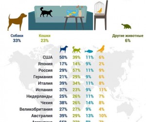 Россия - страна котов