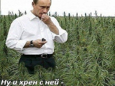     .    ...