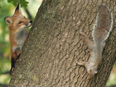 �����-�����