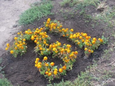 ������� ������ �� ������������ �������