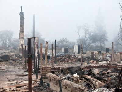 ������� ������ - 2010