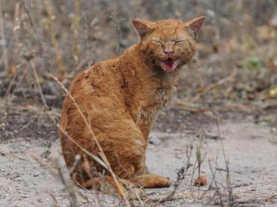 ����� �������� � ������ ������ ���