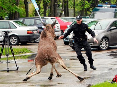 ������ � ��������� �������