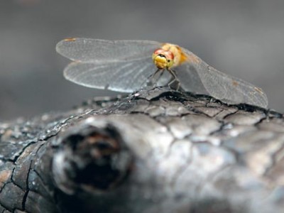 ̸����� ���