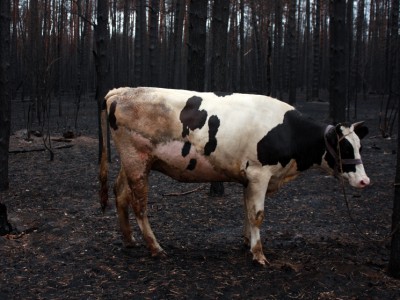 ������ � ��������� ����