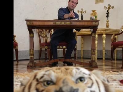 ��������������� ������ � ������� ����