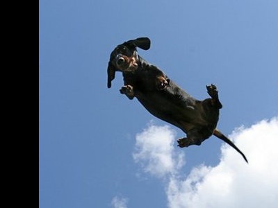 ����� ��� ��������?