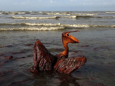 ������ � ������������ ������