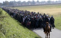 nikitskij: Европейский апокалипсис беженцев