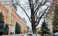 puerrtto: Ивано-Франковск как европейская жемчужина в сердце Украины