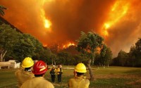 vbulahtin: Калифорния в огне