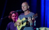 Sting � �����������