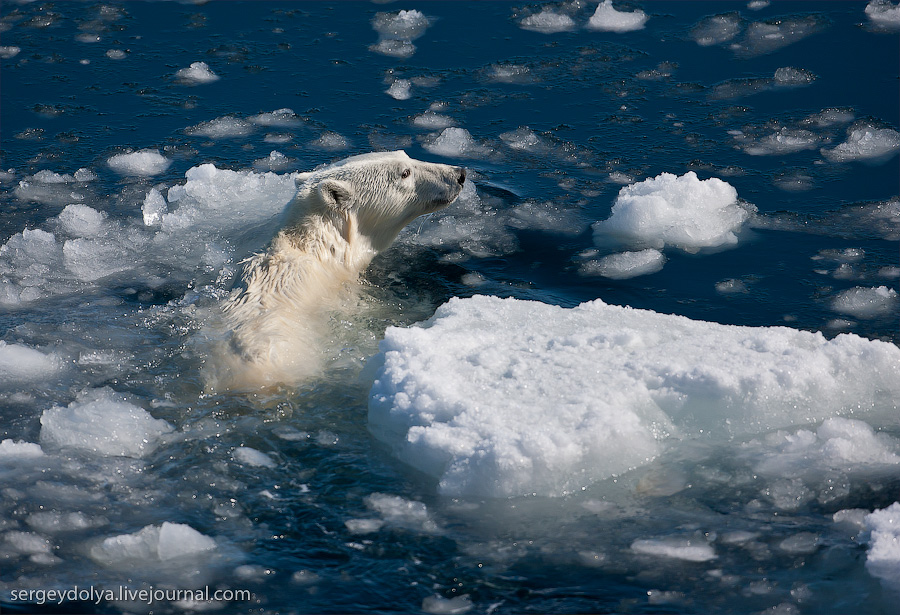 ����� ������� � ��������� ������