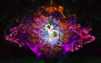 Cirque du Soleil � ������