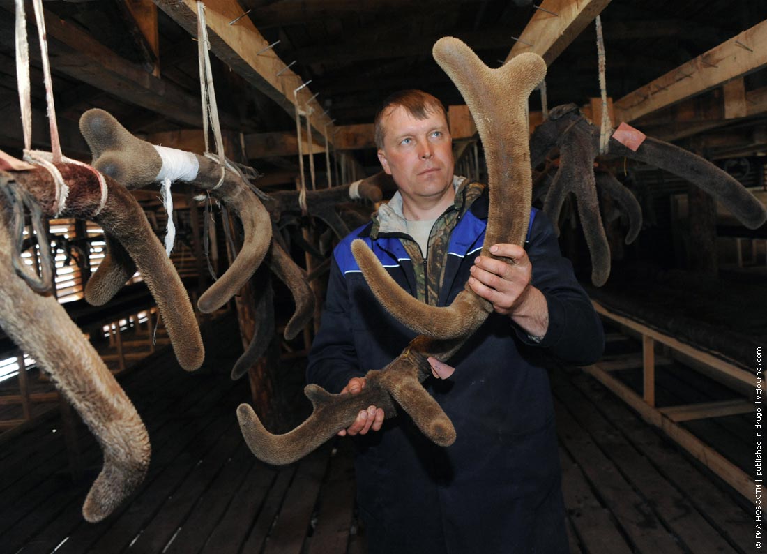 ���������� ���. ��������� ���� �����