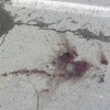 К приезду С. Шойгу военные расстреляли собак